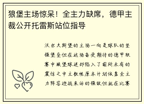 狼堡主场惊呆！全主力缺席，德甲主裁公开托雷斯站位指导